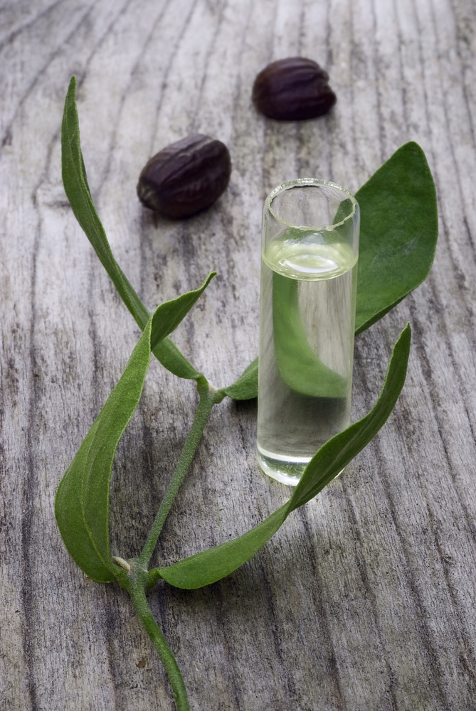 Jojoba oil on table