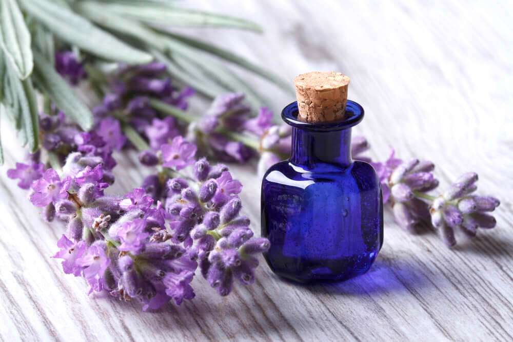 Lavender oil