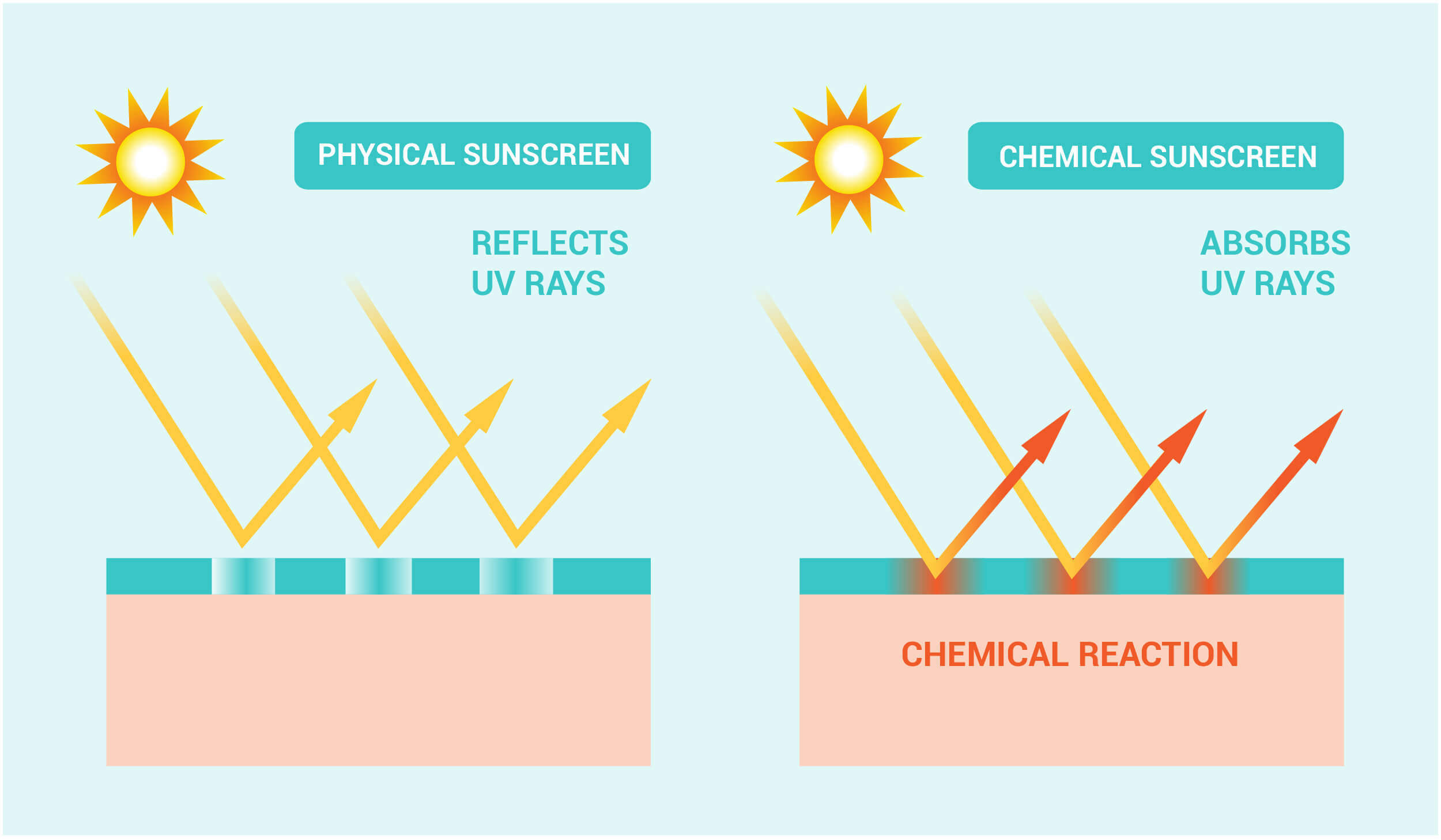 Infographic showing the difference between physical and chemical sunscreens