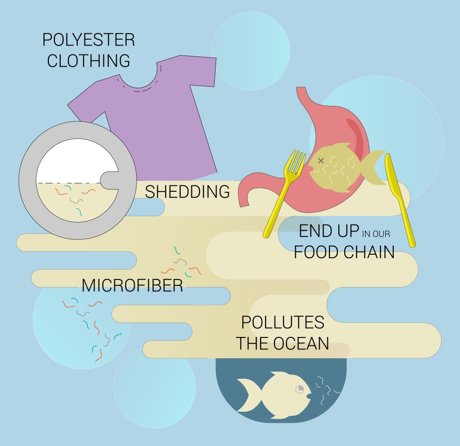Infographic showing how polyester clothing is bad for the environment