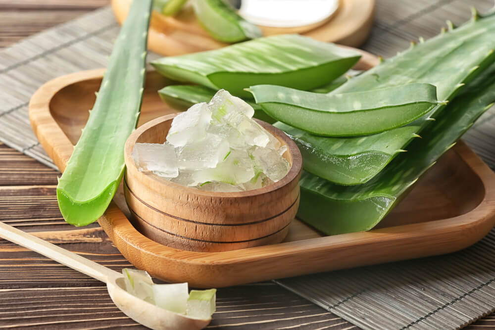 Aloe vera in bowl