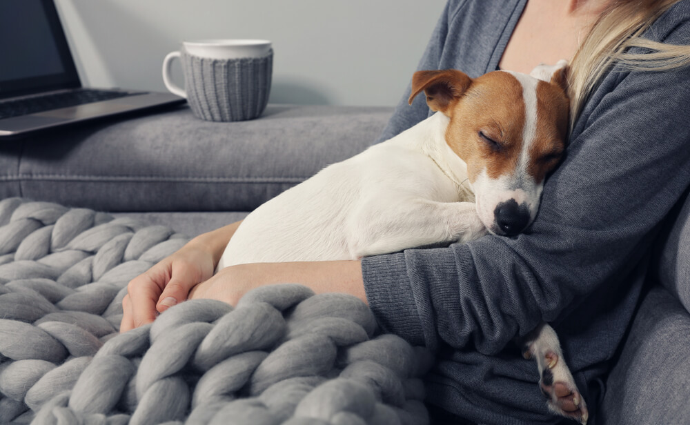 Woman hugging dog