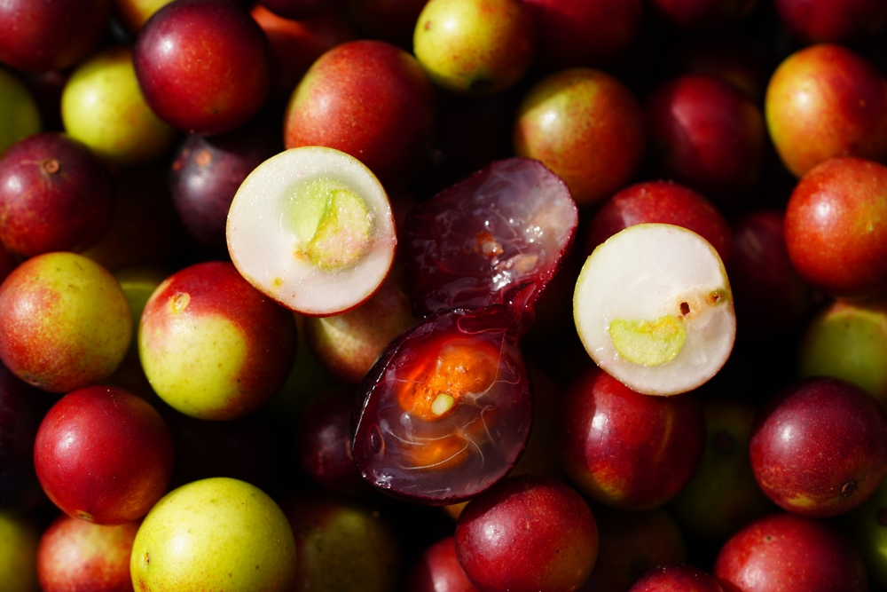 Camu camu fruits